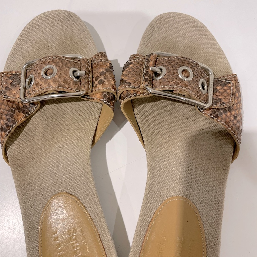 Car Shoe slide snake skin with singer buckle size 38